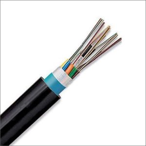fiber